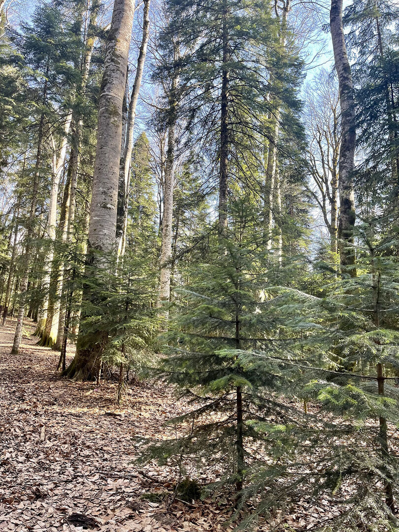 Фото: личный архив
